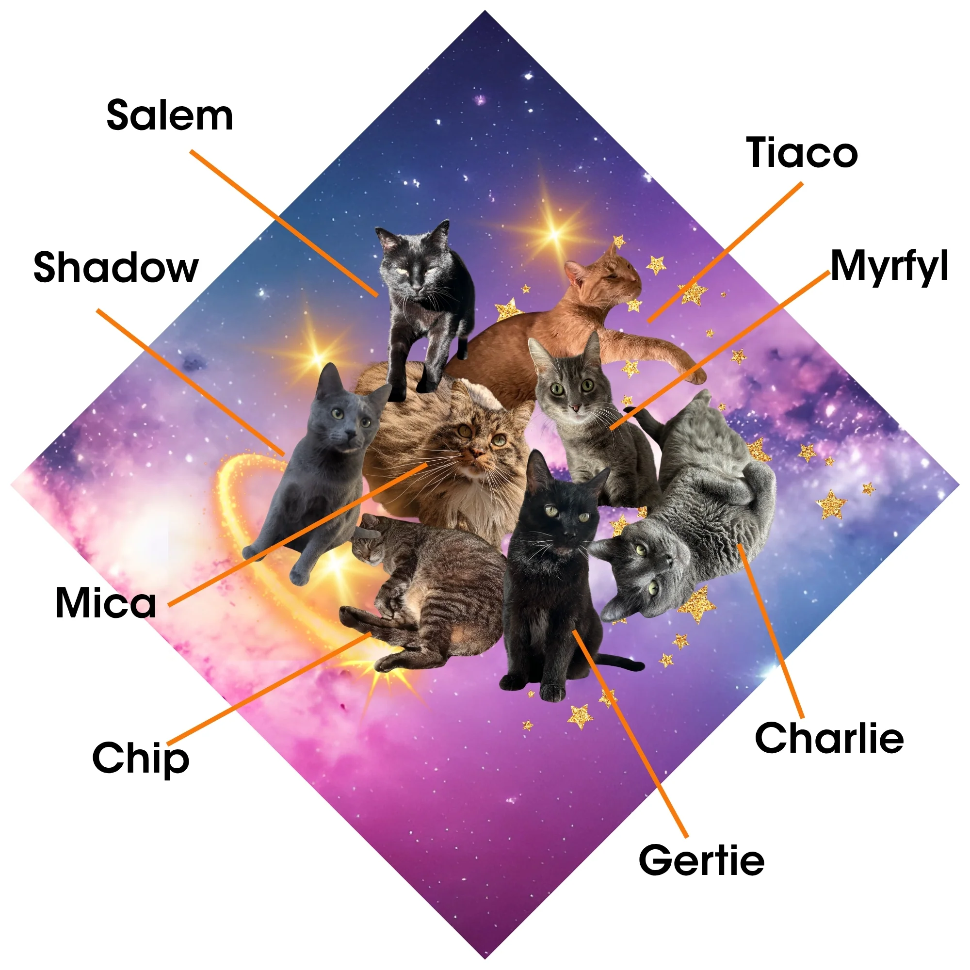 Kula Pee Cloth by Kula Cloth - Image 7